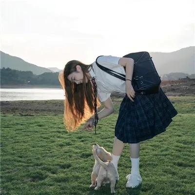 山上的松树